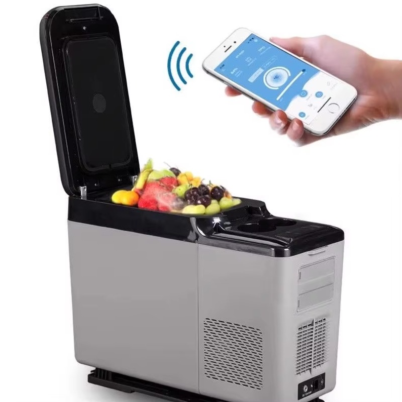 CF8 8L 12v Portable Car Freeze - 12V Fridge Freezer Rv ulasan dan harga