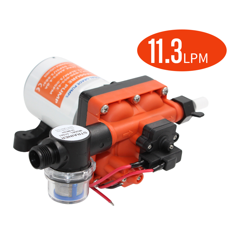 42 Series Diaphragm Water Pump - Rv Water Pump 12V 55Psi ulasan dan harga